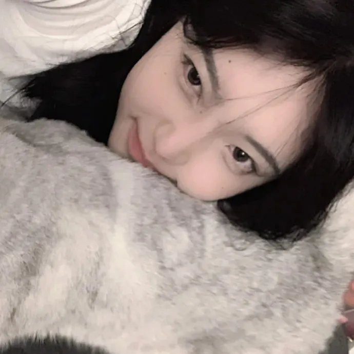 黑暗的森林